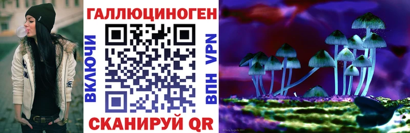 Псилоцибиновые грибы Cubensis  MEGA рабочий сайт  Пионерский  купить  